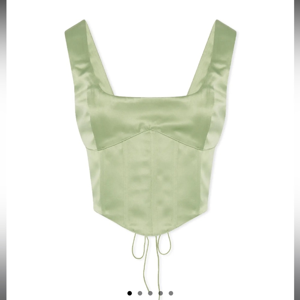Danielle Guizio Satin Lace Up Bustier Top
